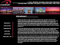 Amer.net Web Site Mockup 004